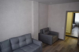 1-к. квартира, 43,6 м², 8/8 эт.